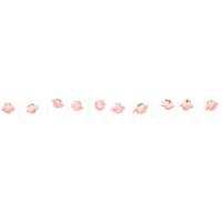 Mint to Be Rose  LED Light Up Strings Light Hanging Decoration, Pink, 5.5-ft, 10 Lights, for Wedding/Engagement/Bridal Shower Front_Flat