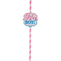 Girl or Boy Gender Reveal Paper Straws, 12-pk Front_Flat
