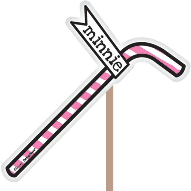 Minnie Mouse Scene Setter with Photo Booth Props Front_Flat