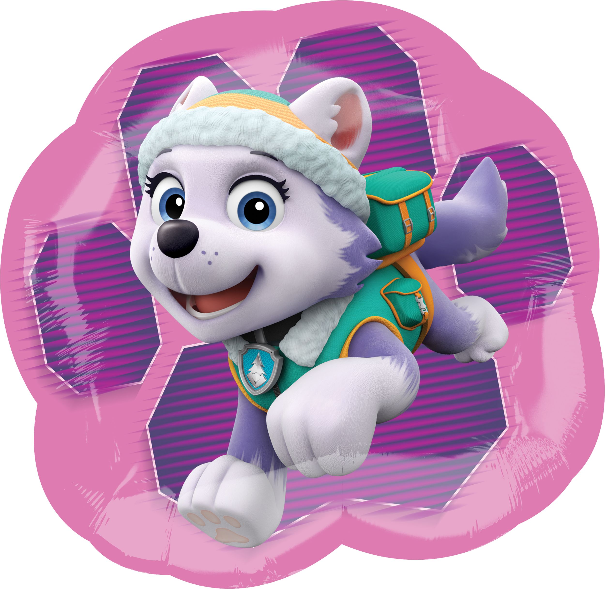Paw Patrol Skye and Everest Balloon, 25-in Front_Flat