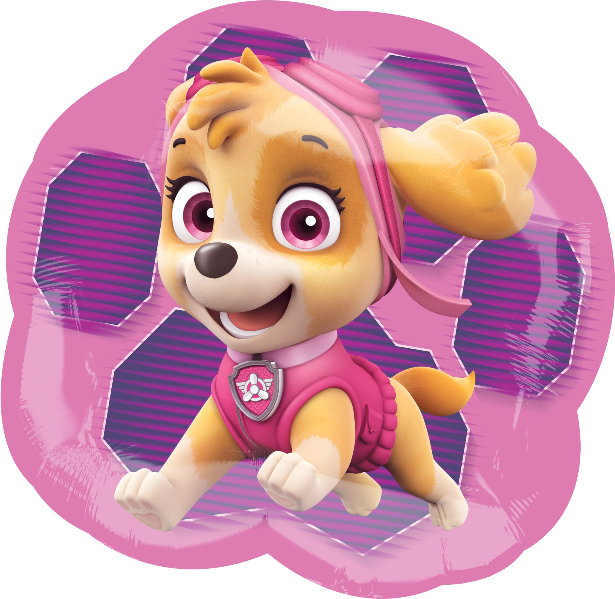 Paw Patrol Skye and Everest Balloon, 25-in Front_Flat
