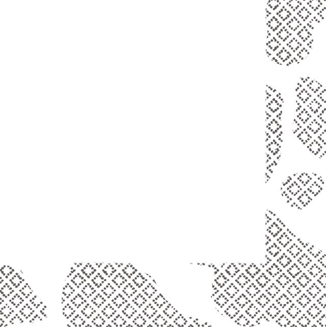 Western Square Paper Disposable Beverage Napkins, Black/White, Cow Print, 5-in, 16-pk, 2-ply, for Cowboy & Western Party Overhead_Flat