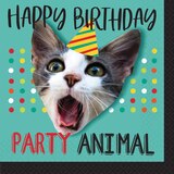 Serviettes à boisson anniversaire Over the Hill, paq. 16 Overhead_Flat