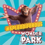 Wonder Park Birthday Party Lunch Napkins, 16-pk Overhead_Flat
