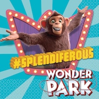 Serviettes de table pour fête d'anniversaire Le Parc des merveilles, paq. 16 Overhead_Flat