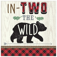 Little Lumberjack 2nd Birthday Lunch Napkins, 16-pk Overhead_Flat