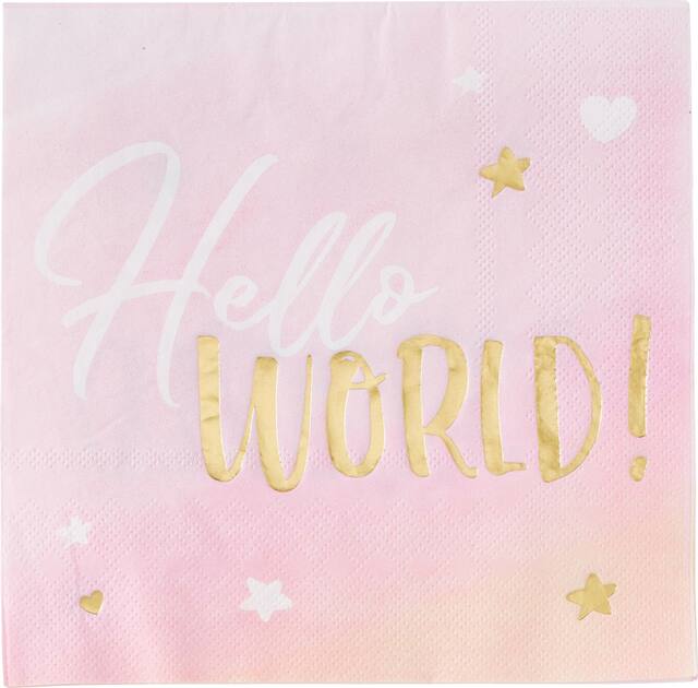 Oh Baby "Hello World" Square Paper Disposable Lunch Napkins, Pink, 6.5-in, 16-pk, 2-ply, for Baby Shower/Gender Reveal Overhead_Flat