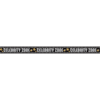 Hollywood Party Tape, 3-pk Front_Flat