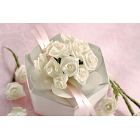 Serviettes de table, rose ivoire, paq. 144 Overhead_Plunge