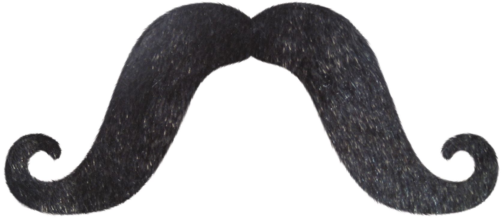 Longue moustache en croc, noir, taille unique, accessoire de costume à porter pour l'Halloween Front_Flat