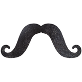 Longue moustache en croc, noir, taille unique, accessoire de costume à porter pour l'Halloween Front_Flat