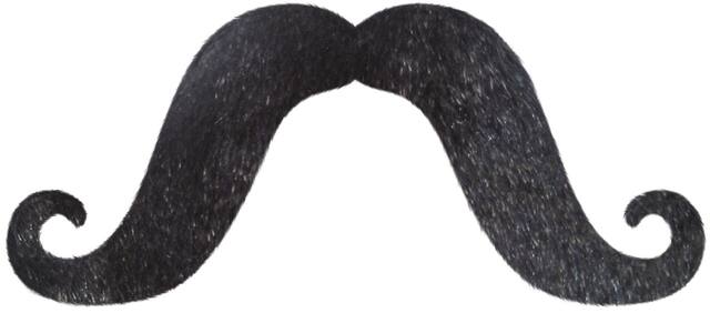 Long Handlebar Fake Moustache, Black, One Size, Wearable Costume Accessory for Halloween Front_Flat