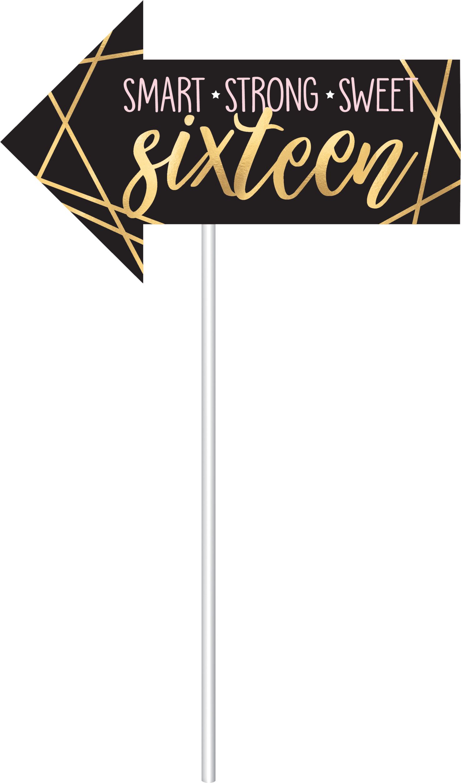 "Happy Birthday" Plastic Scene Setter Background Decoration with Photo Booth Props, Gold/Pink, 77-in, 14-pk, for Birthday Party Front_Flat