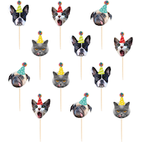 Over the Hill Animal Cupcake Picks, 24-pc Front_Flat