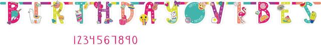 Selfie Celebration Jumbo Add-An-Age Birthday Party Banner, 10.5-ft Front_Flat