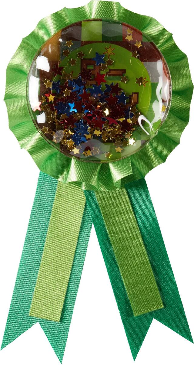 Pixel Party Video Game Confetti Award Ribbon, Green, One Size, Wearable Favour for Birthday Front_Flat