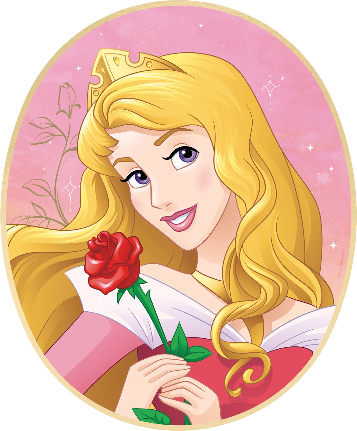 Portrait scintillant pour fête d'anniversaire Princesse Il était une fois Disney, paq. 9 Front_Flat