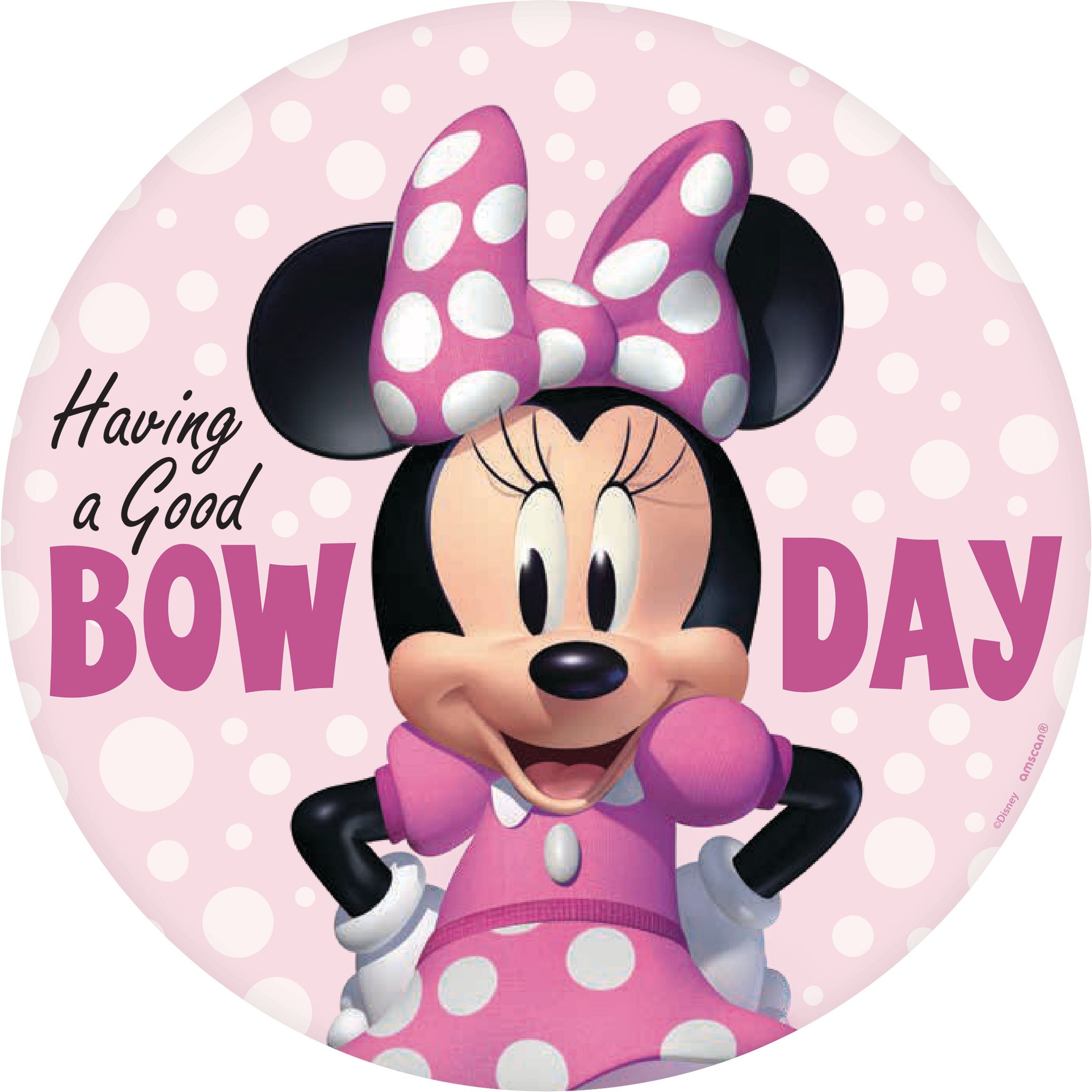 Minnie Mouse Forever Portrait Kit for Birthday Parties, 5-pc Front_Flat