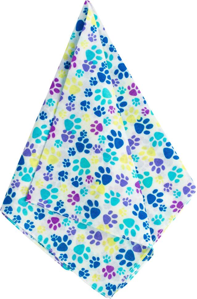 Bandana Chiots festifs, 20 po Overhead_Flat