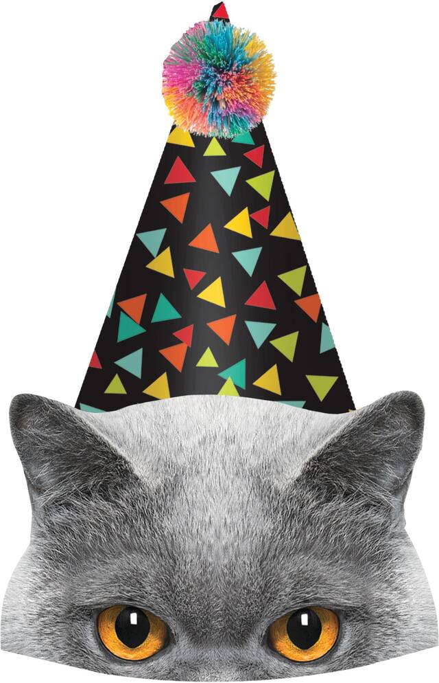 Over the Hill Party Hats, 8-pk Front_Flat