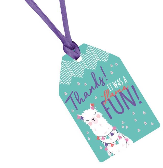 Llama Fun Thank You Birthday Party Favour Tags, 8-pk Front_Angled_Right