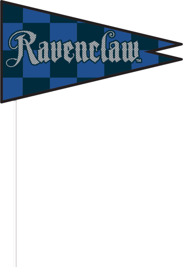 Harry Potter Scene Setter Birthday Party Decoration with Photo Booth