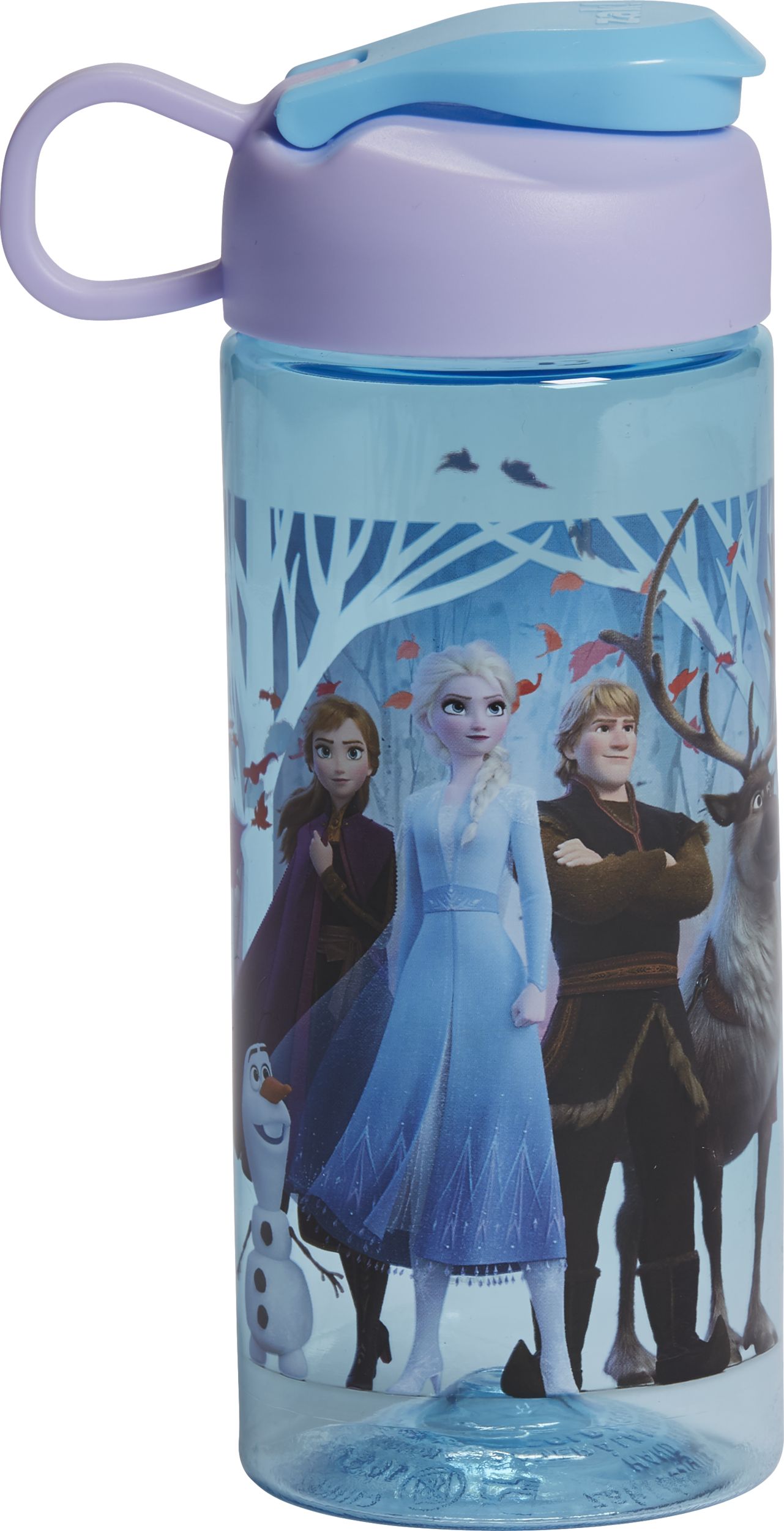 Frozen 2 Water Bottle Front_Flat