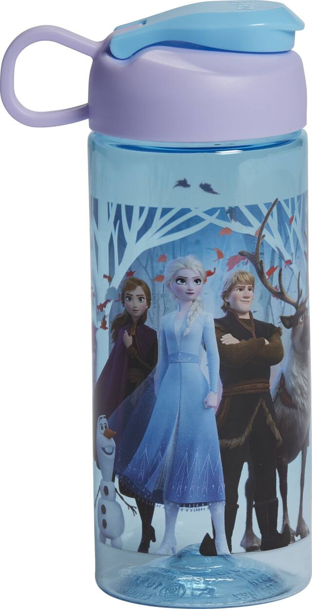Frozen 2 Water Bottle Front_Flat