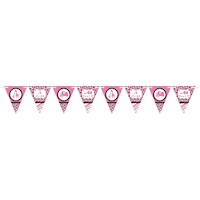 Pink Safari Girl Baby Shower Pennant Banner Front_Flat