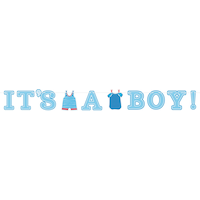 It's a Boy Baby Shower Banners, 2-pcs Front_Flat