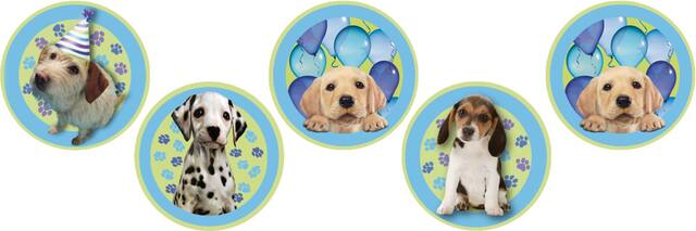 Confettis chiots de fête Front_Flat