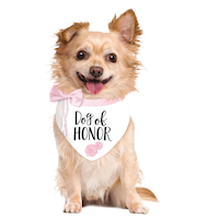 Dog of Honour Bandana, White/Pink, One Size, Wearable Accessory for Weddings Front_Flat