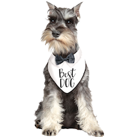 "Best Dog" Neck Bow Tie Bandana for Dogs, Black/White, One Size, Wearable Accessory for Weddings/Birthdays Front_Flat