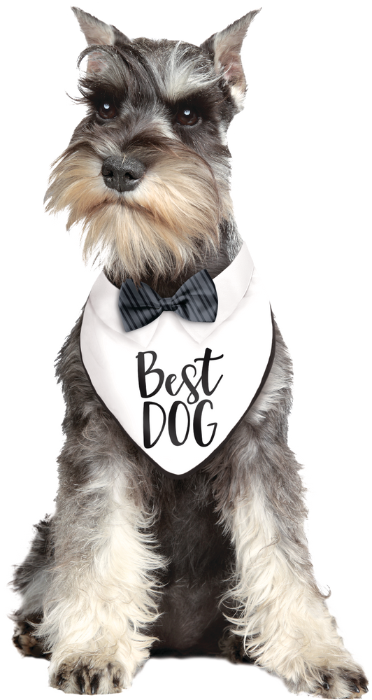 Bandana bow tie for dog on sale