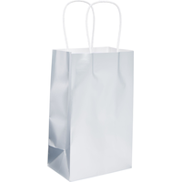 Paper Gift Bag, Silver, 8-in, for Birthday/Wedding/Anniversary Front_Angled_Right