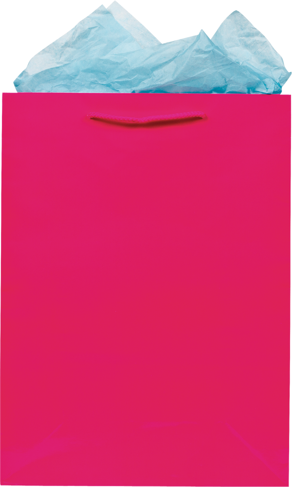 Glossy Gift Bag Party City