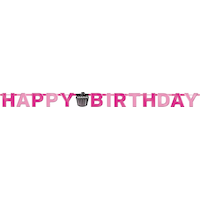Another Year of Fabulous Birthday Banner Front_Flat
