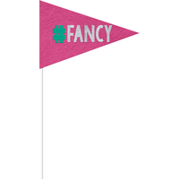 Banderole à fanions d'anniversaire Young and Fab, paq. 4 Front_Flat