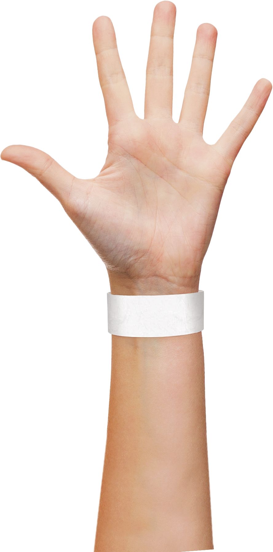 Solid Colour Wristband Wearables, White, 10-in, 500-pk, for Festivals/Parties Front_Flat