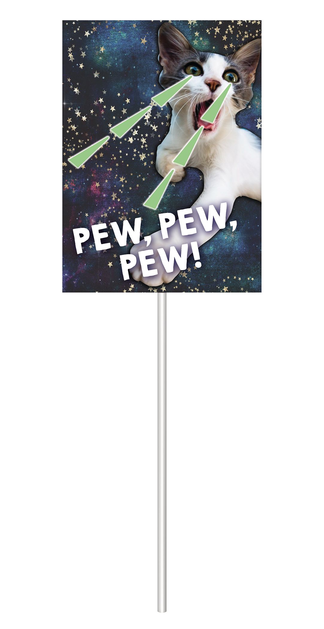 "Spaced Out" Cat Photo Booth Sign Props, Blue, 14-in, 13-pk, for Birthday Party Front_Flat