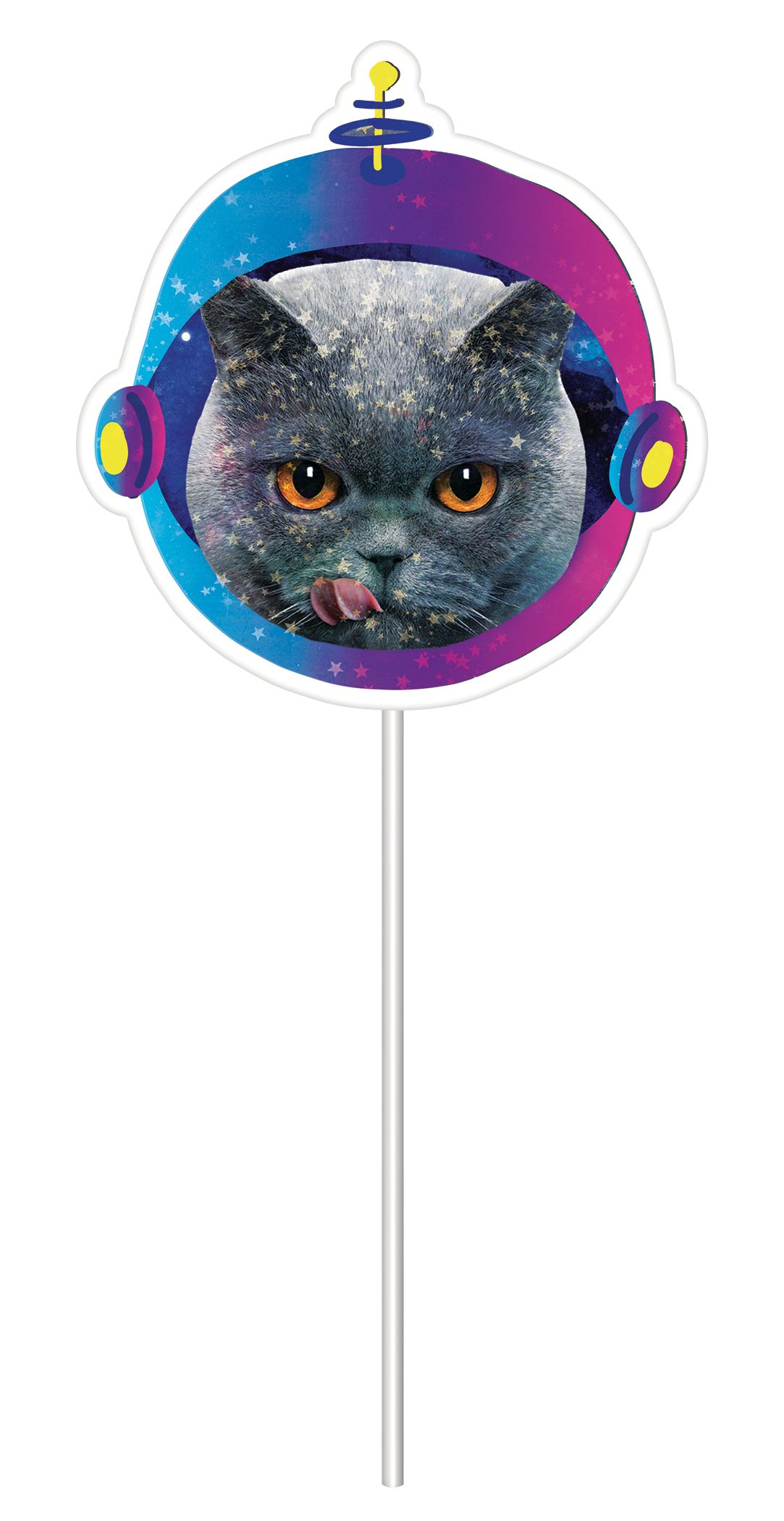 "Spaced Out" Cat Photo Booth Sign Props, Blue, 14-in, 13-pk, for Birthday Party Front_Flat