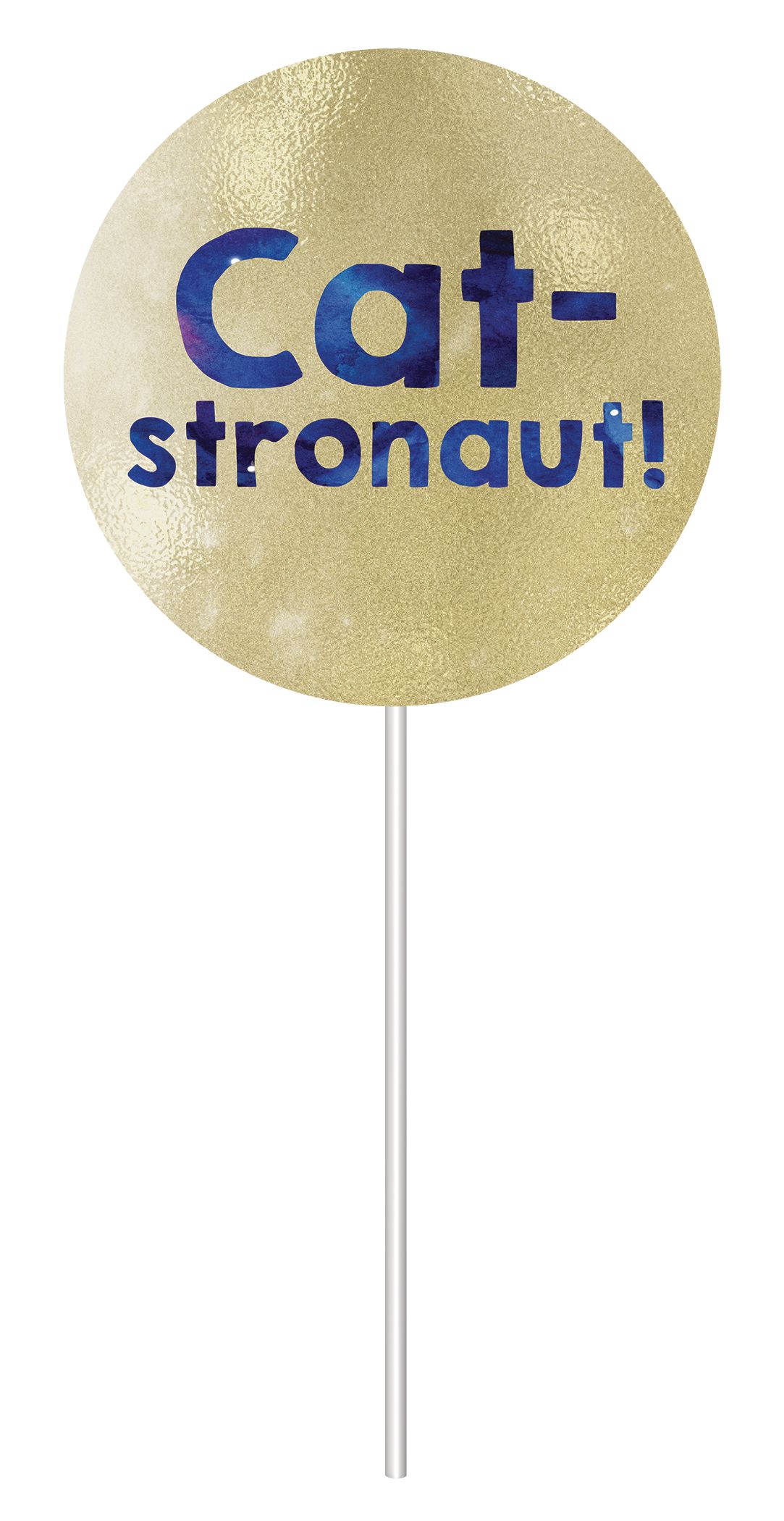 "Spaced Out" Cat Photo Booth Sign Props, Blue, 14-in, 13-pk, for Birthday Party Front_Flat