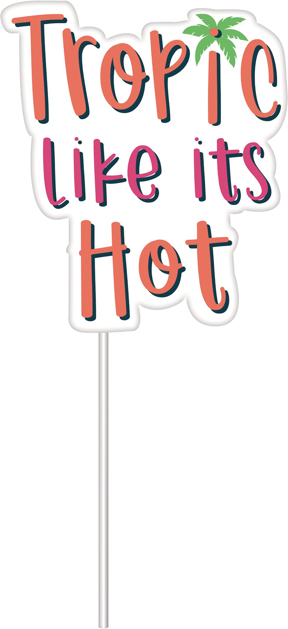 Photo Booth Sign Props, Multi-Coloured, 7.5-in, 13-pk, for Summer Party Front_Flat