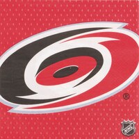 Serviettes de table Hurricanes de la Caroline, paq. 16 Overhead_Flat