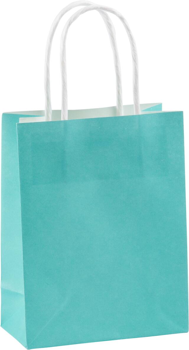 Sac-cadeau en papier Kraft, bleu clair, 8,5 po, pour fête d'anniversaire/fête prénatale Front_Angled_Right