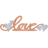 Blush Bride "Love" Standing Block Sign Table Centerpiece Decoration, Rose Gold/Silver, 14-in, for Wedding/Engagement/Bridal Shower Front_Flat