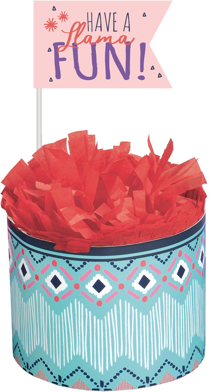 Llama Fun Birthday Party Table Centerpiece Decoration Kit, 3-pc Front_Flat