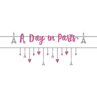 "A Day in Paris" Hanging Garland Banner Decoration, Pink, 12-ft, 2-pk, for Birthday Party Front_Flat
