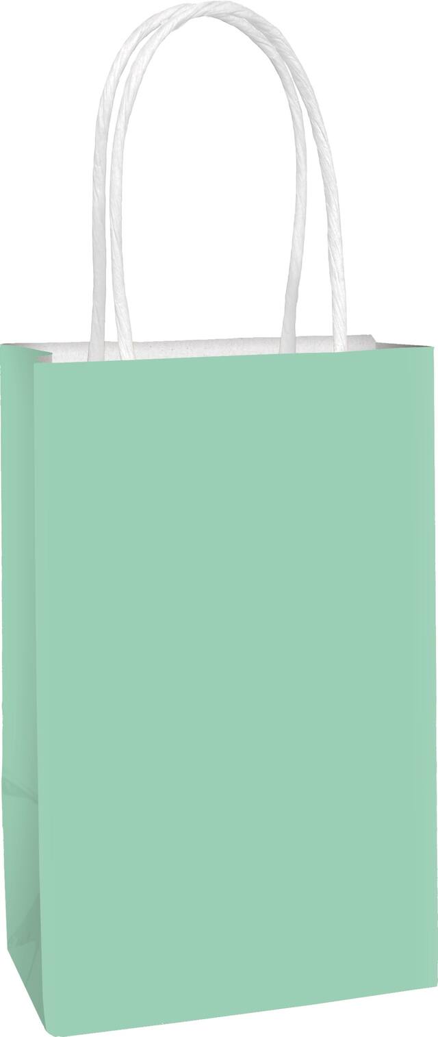 Paper Gift Bag, Mint Green, 12-in, for Birthday/Wedding/Easter Front_Angled_Right