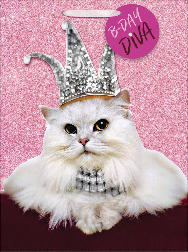 Large Glitter Birthday Diva Cat Gift Bag Front_Flat